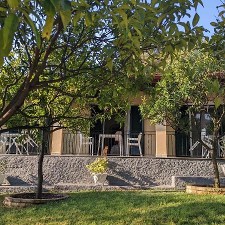 Villa Eleni - Studios Liapades Buitenkant foto