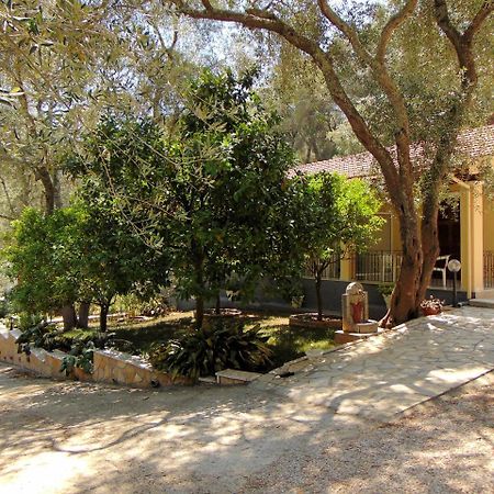 Villa Eleni - Studios Liapades Buitenkant foto