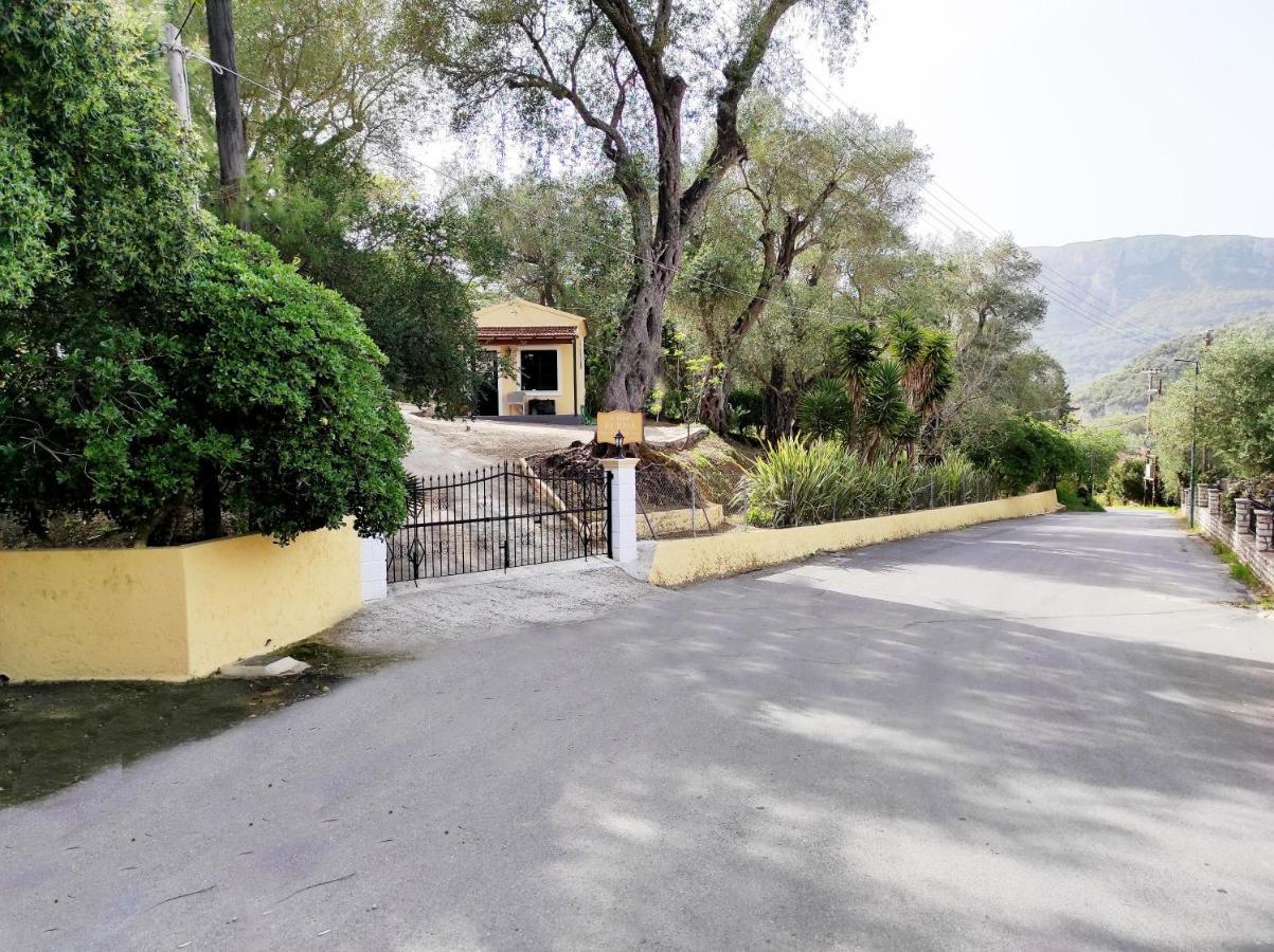 Villa Eleni - Studios Liapades Buitenkant foto