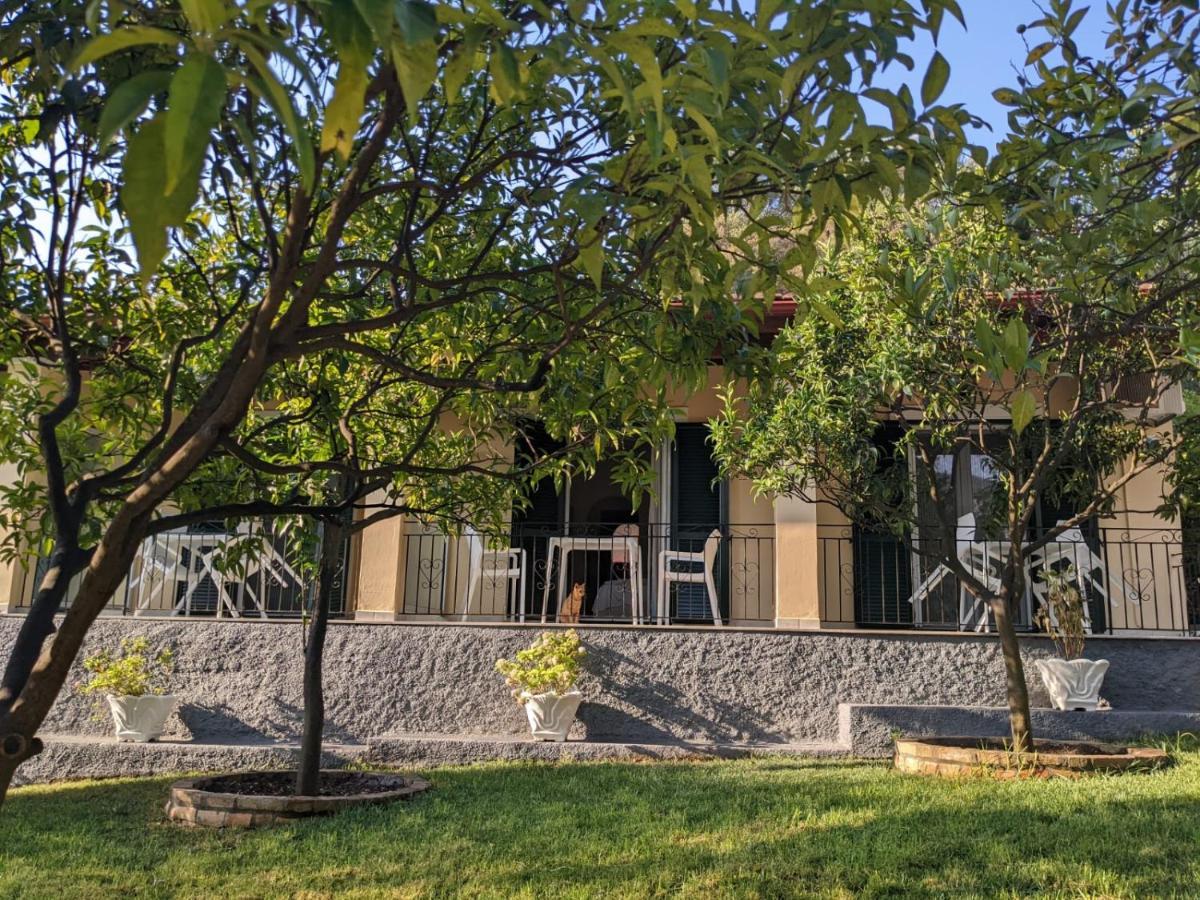 Villa Eleni - Studios Liapades Buitenkant foto