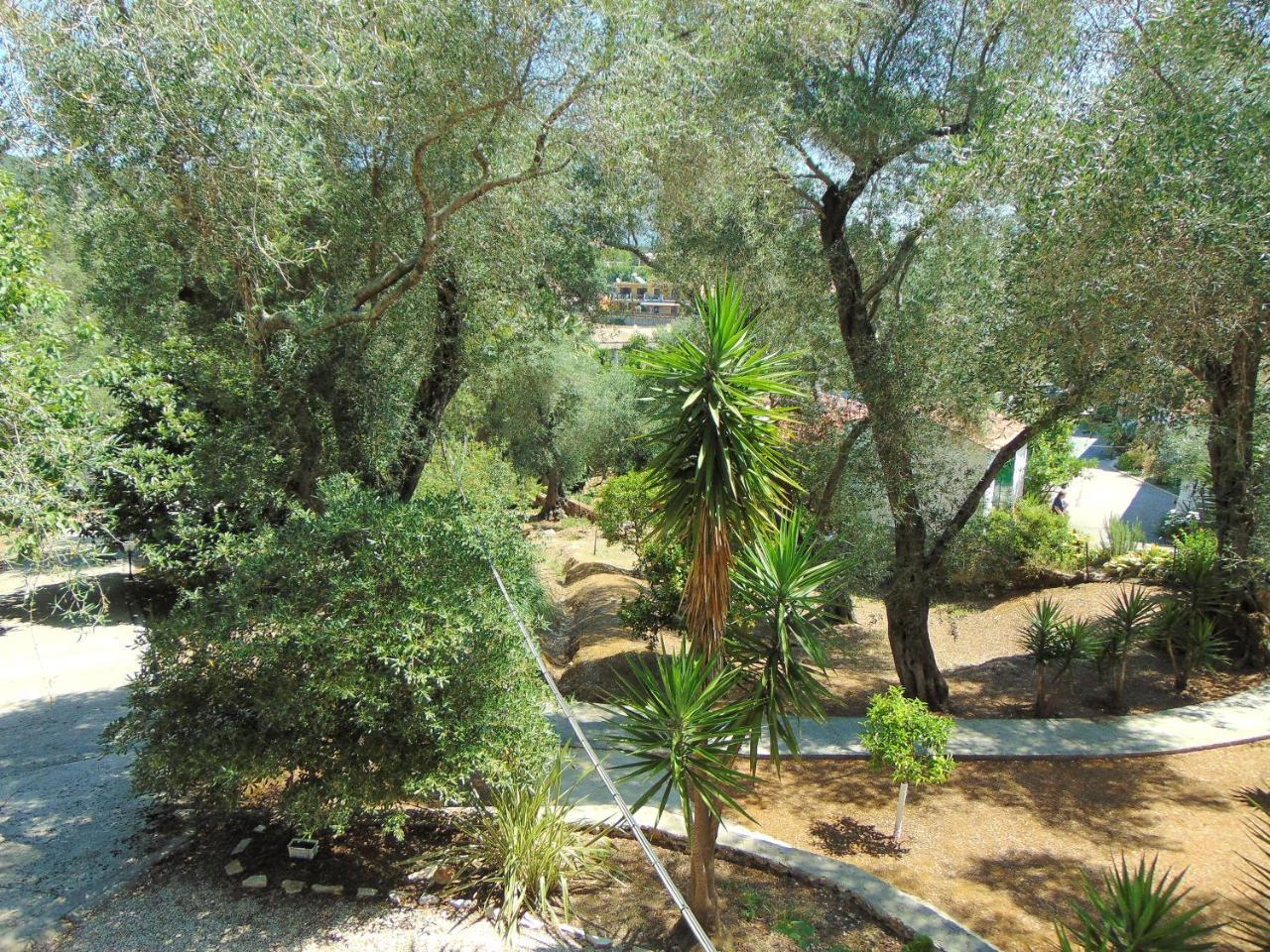Villa Eleni - Studios Liapades Buitenkant foto