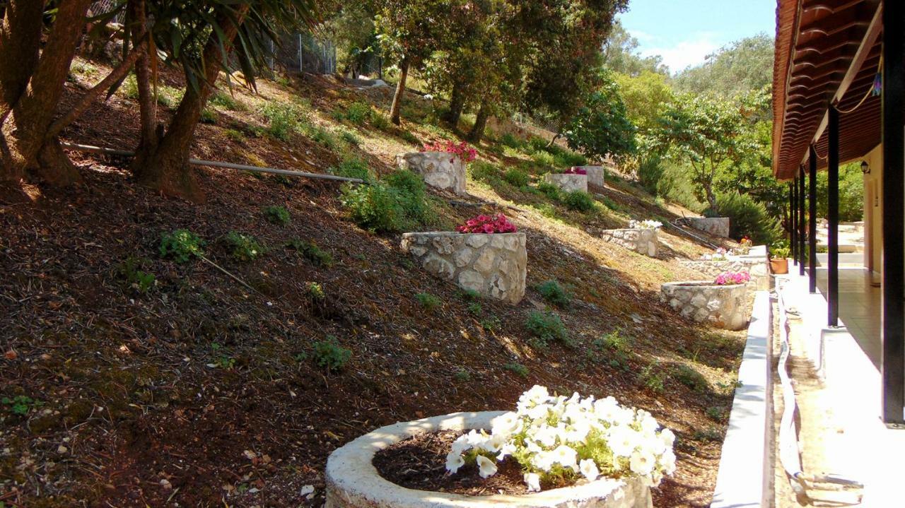 Villa Eleni - Studios Liapades Buitenkant foto